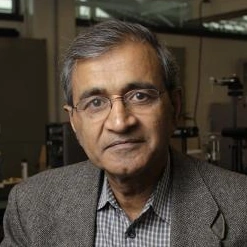 Bharat Bhushan