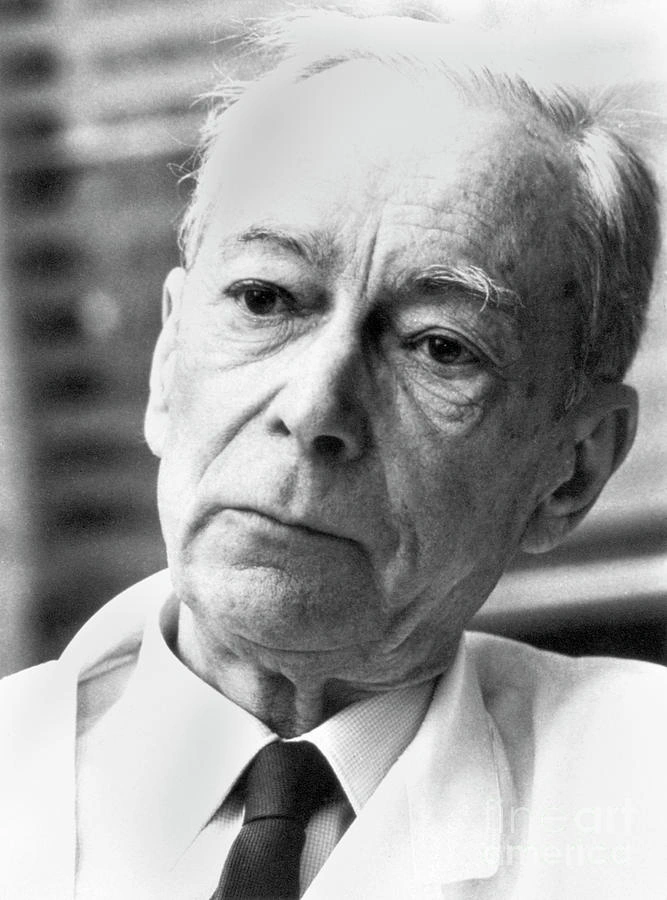 Carl Peter Henrik Dam