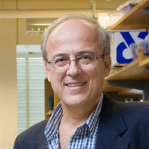 Gregory Stephanopoulos