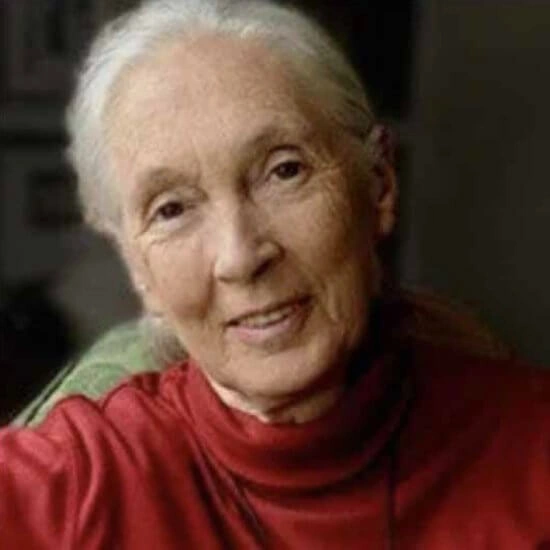 Jane Goodall